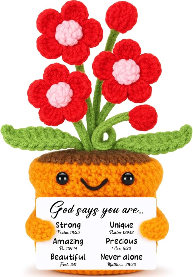 Agantree art Christian Religious Gifts for Women Daughter Mom Birthday Inspiration Faith Based Spiritual Godly Office Decor Friends Sister Coworker Encouragement God Says You are Handmade Flowers