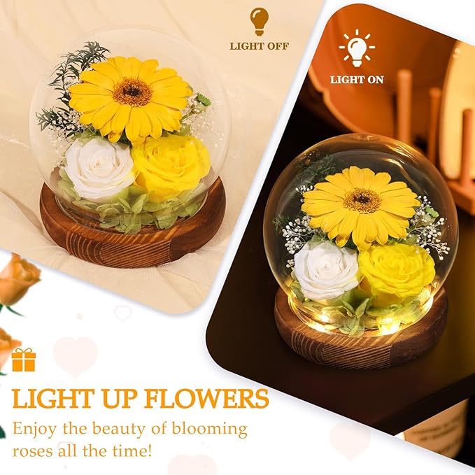 FIACO Sunflower Gifts for Women Valentines Day Preserved Forever Eternal Flower Rose in Glass Fresh Flowers for Delivery Mothers Day Birthday Gift for Mom Grandma Sister Wife Her Girlfriend Decor