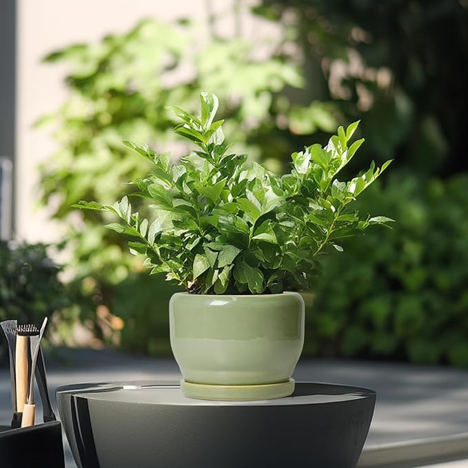 SQOWL Ceramic Pot for Plants - 6 Inch Planter for Indoor Outdoor Plants, Round Decorative Flower Pot with Drainage Hole and Saucer, Modern Small Planter, Patio Decor, Garden Gifts, Green