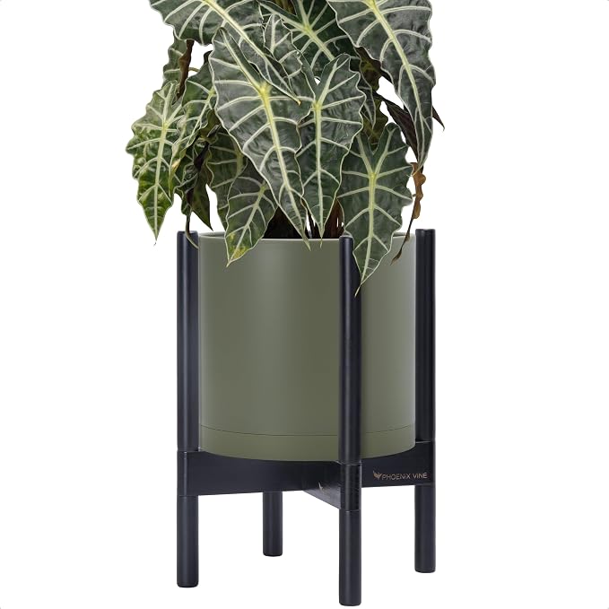 D'vine Dev Plastic Pot with Ebony Wood Stand, Olive, 10 in, 55-C-N-3 | Mid-Century Inspired Design, Elevated Plant Display, Clean Lines, Sturdy Support, Modern Space-Saving Style
