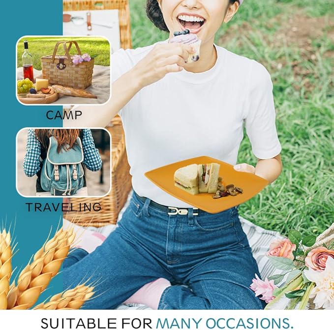 Teivio 48-piece Kitchen Plastic Wheat Straw Square Dinnerware Set for 12, Unbreakable Dinner Plates, Salad Plates, Snack Bowls, Cup 13.5 oz, Dishwasher Safe Dinning RV Essentials, Autumn Multicolor