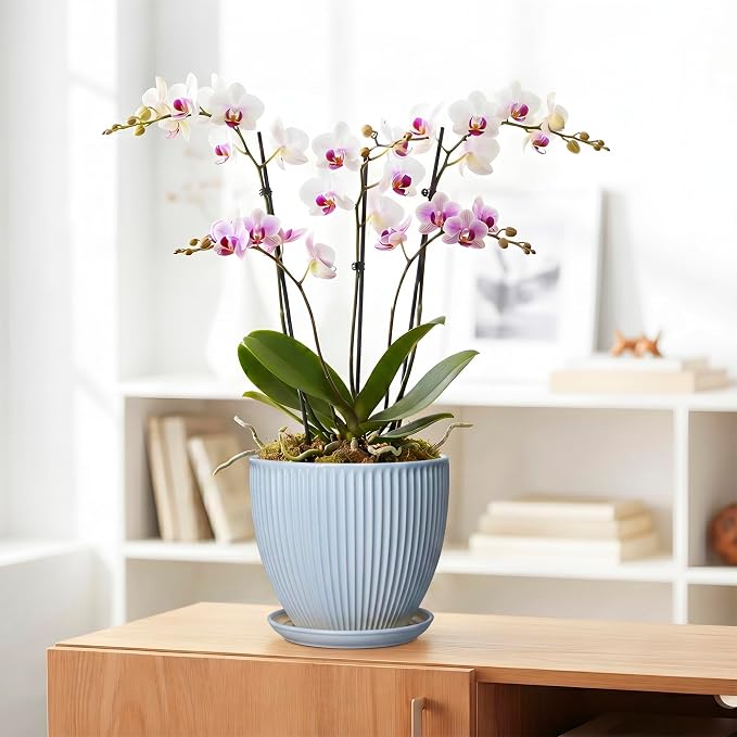 8 Inch Plant Pot Indoor, Ceramic Flower Pots with Drainage Hole and Saucer, Round Plant Pot for Indoor House Plants, Modern Plant Pot Indoor, Office Home Decor, House Warming Gifts, Light Blue