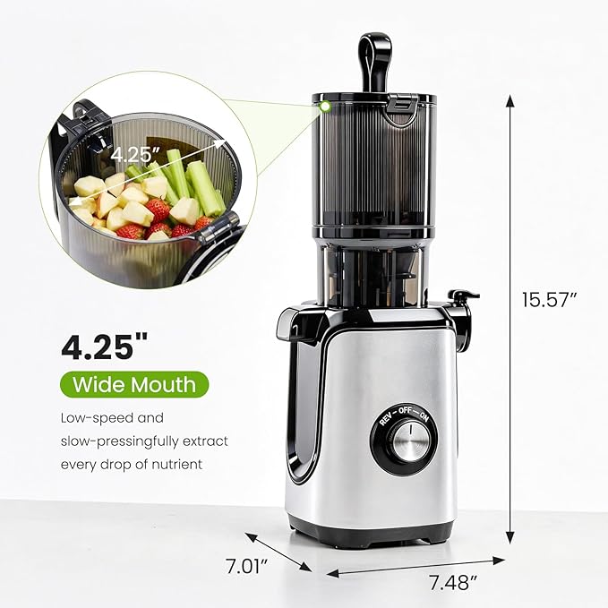 Slow Masticating Juicer Machines, Cold Press Juicer with Safety Lock & Reverse Function, 4.25" Feed Chute for Whole Fruits & Vegetables, High Juice Yield, Silver