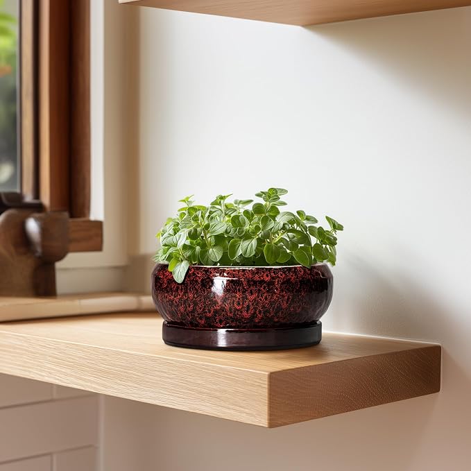 Succulent Planters 6 Inch - Ceramic Bonsai Pots with Drainage Hole and Saucer, Small Bonsai Planter, Round Planter Bowl, Shallow Plant Pots Indoor, Room Decor, Gifts for Plant Lovers, Red