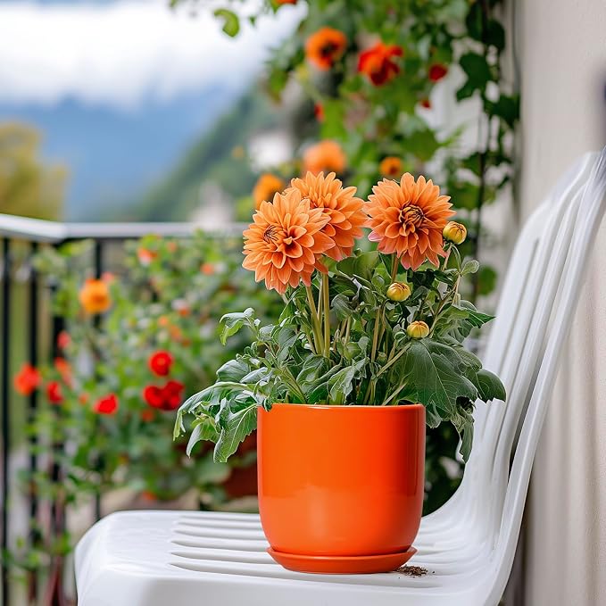 5 Inch Plant Pot - Ceramic Planter for Succulent Cactus Herbs Indoor Plants, Modern Round Flower Pot with Drainage Hole and Saucer, Gifts for Plant Lovers, Patio Office Home Decor, Orange