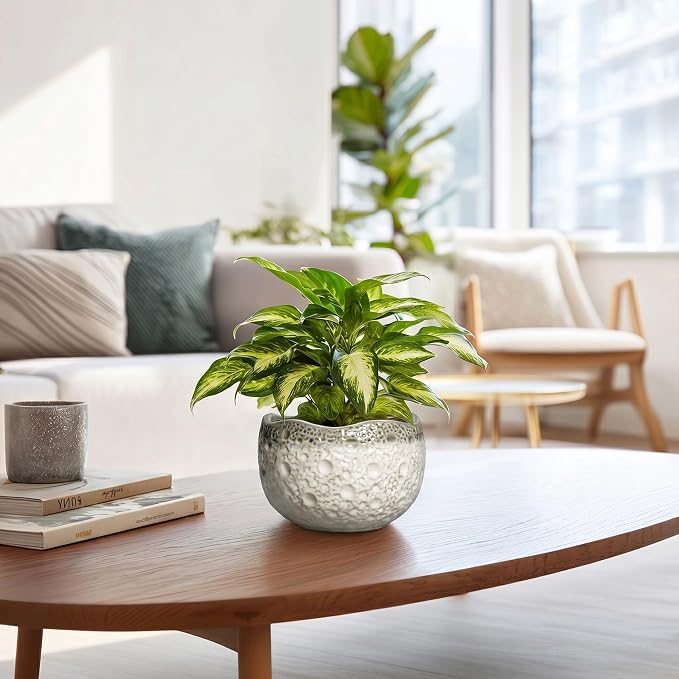 Ceramic Pots for Plants - 6 Inch Plant Pot with Drainage Hole and Plug, Round Modern Planters for Indoor Plants, Decorative Planters, Bookshelf Decor, Gifts for Plant Lovers, Beige-Grey