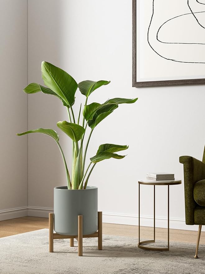 LE TAUCI 10+8+6 Inch Ceramic Pots for Plants, Indoor Planters with Drainage Hole and Plug, Modern Cylinder Flower Pots Set of 3 for Living Room and Bedroom, Glossy, Mist Gray