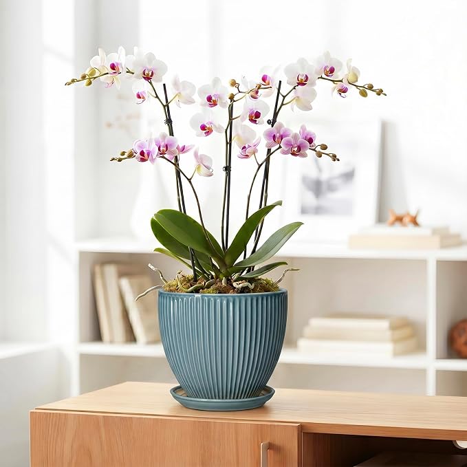 Ceramic Planter, 8 Inch Plant Pot Indoor with Drainage Hole and Saucer, Decorative Planters for Indoor Plants, Modern Flower Pots, Round Planter, Room Decor, Gifts for Plant Lovers, Glaze Blue