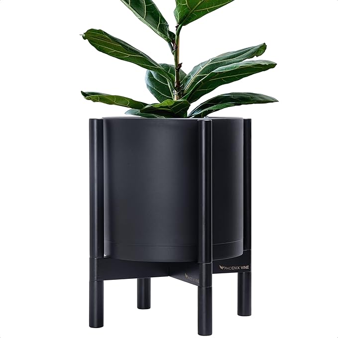 D'vine Dev Plastic Pot with Ebony Wood Stand, Black, 12 in, 55-C-Q-2 | Mid-Century Inspired Design, Elevated Plant Display, Clean Lines, Sturdy Support, Modern Space-Saving Style