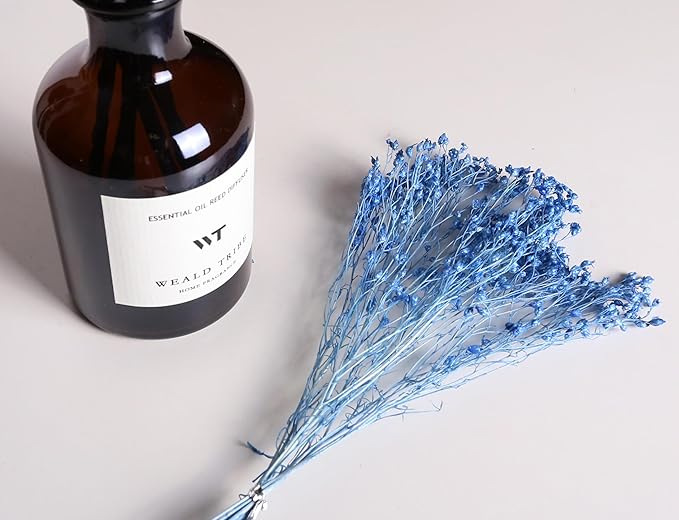 71skjnel6cL._AC_SX679_0327bff2-c44d-4515-afbd-bf6eea2ffa2b - 홈테코