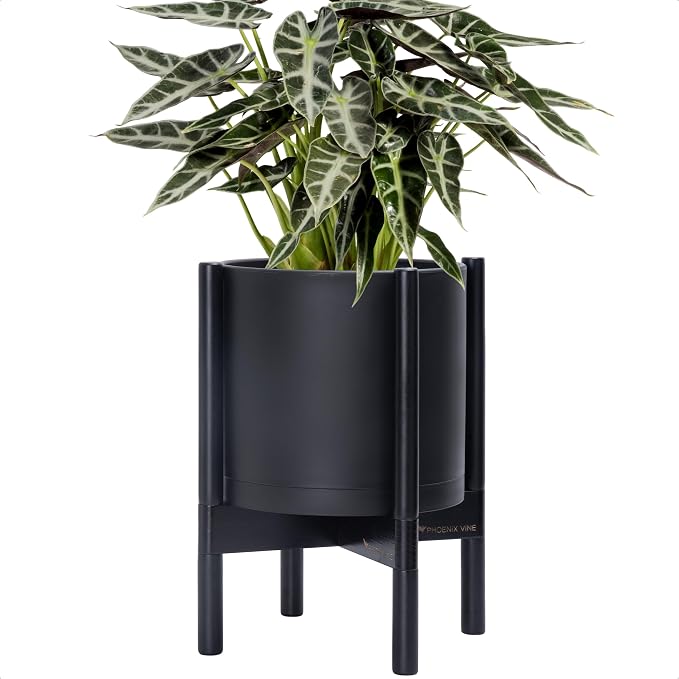 D'vine Dev Plastic Pot with Ebony Wood Stand, Black, 10 in, 55-C-N-2 | Mid-Century Inspired Design, Elevated Plant Display, Clean Lines, Sturdy Support, Modern Space-Saving Style