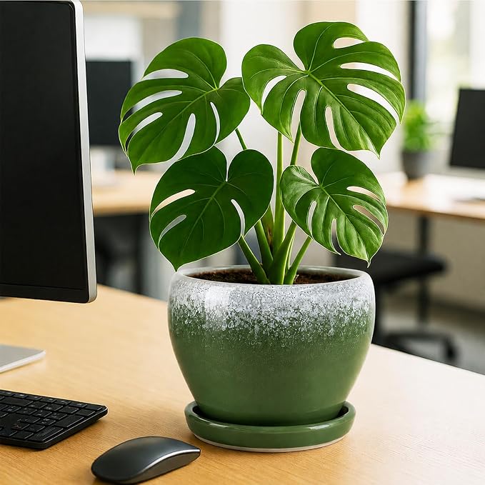 Deep Dream 8 Inch Plant Pots- Ceramic Pots for Plants with Drainage Hole and Saucer, Large Planter Pot for Indoor Plants Outdoor Decor, Blackish Green