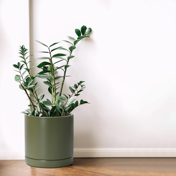 D'vine Dev 8.2 Inch Ceramic Planter Pot, Olive, 94-O-D-J | Modern Cylinder Design, Drainage Hole & Saucer Included, Stable Structure, Elegant Home Accent