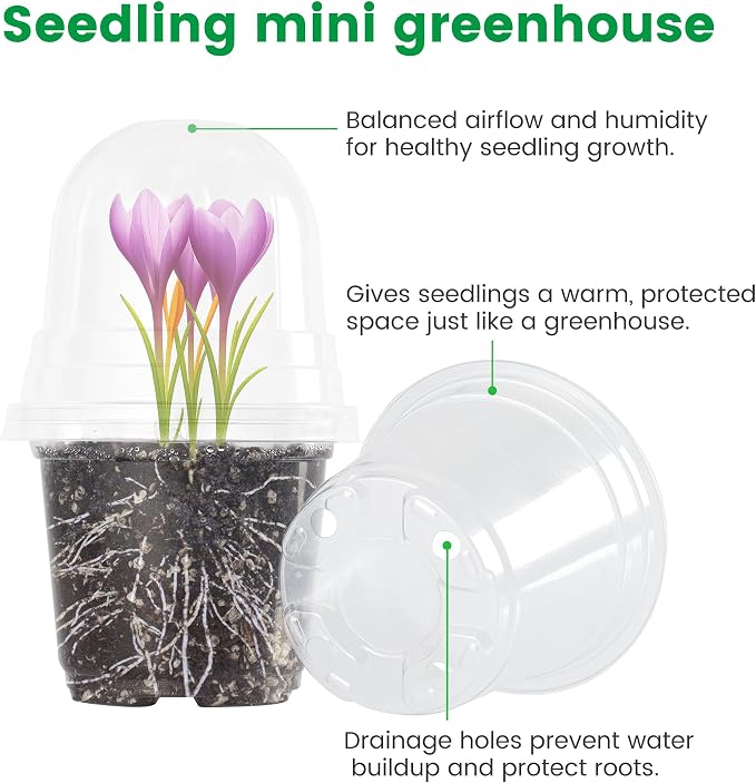 Bluepro Clear Nursery Pots with Humidity Domes, 3.5/4/5 Inch, 36-Pack | Clear PET, Drainage Holes, Root and Germination Visibility, Flexible, Indoor Propagation and Seed Starting