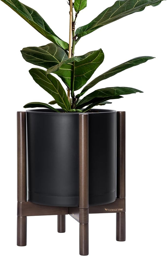 D'vine Dev Plastic Pot with Walnut Wood Stand, Black, 12 in, 55-C-O-2 | Mid-Century Inspired Design, Elevated Plant Display, Clean Lines, Sturdy Support, Modern Space-Saving Style