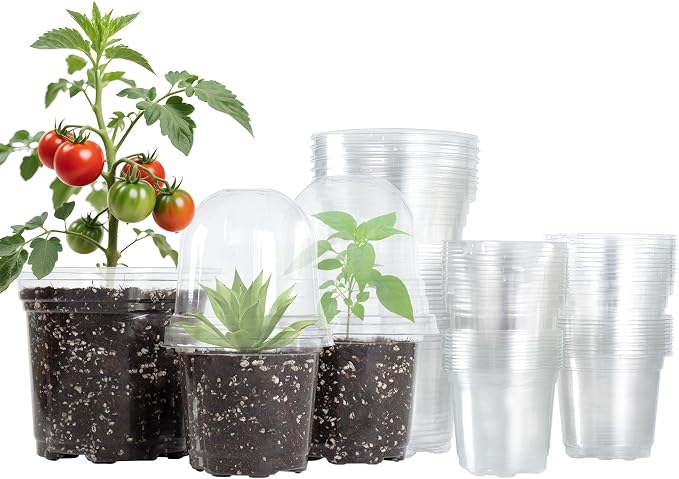 Bluepro Clear Nursery Pots with Humidity Domes, 3.5/4/5 Inch, 36-Pack | Clear PET, Drainage Holes, Root and Germination Visibility, Flexible, Indoor Propagation and Seed Starting