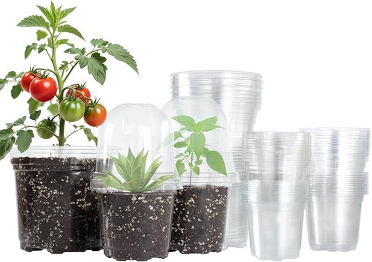Bluepro Clear Nursery Pots with Humidity Domes, 3.5/4/5 Inch, 36-Pack | Clear PET, Drainage Holes, Root and Germination Visibility, Flexible, Indoor Propagation and Seed Starting