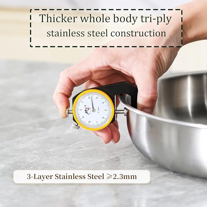 DELARLO Tri-ply Stainless Steel Frying Pan with Lid 10.3Inch | Heavy Duty, Compatible with All Cooktop, up to 600℉, Fast & Even Heating, PTFE & PFOA Free, Oven Safe Skillet