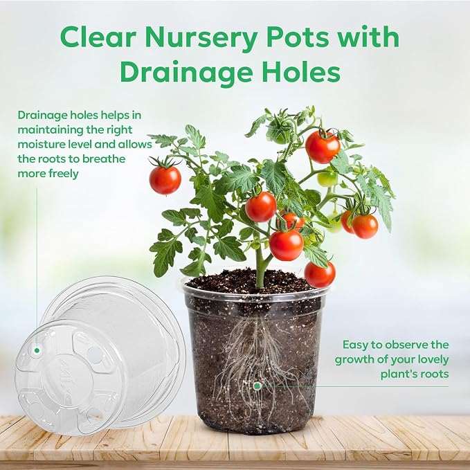 Bluepro Clear Nursery Pots with Drainage Holes, 5 Inch, 30-Pack | Clear PET, 5-Inch Diameter, 4.3-Inch Height, Root and Moisture Visibility, Reusable, Propagation and Seed Starting