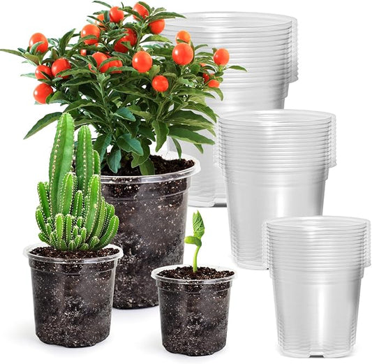 Bluepro Clear Nursery Pots with Drainage Holes, 3.5/4/5 Inch, 36-Pack | Clear PET, 12 Each of 3 Sizes, Root and Moisture Visibility, Flexible, Reusable, Indoor Use, Propagation and Seed Starting