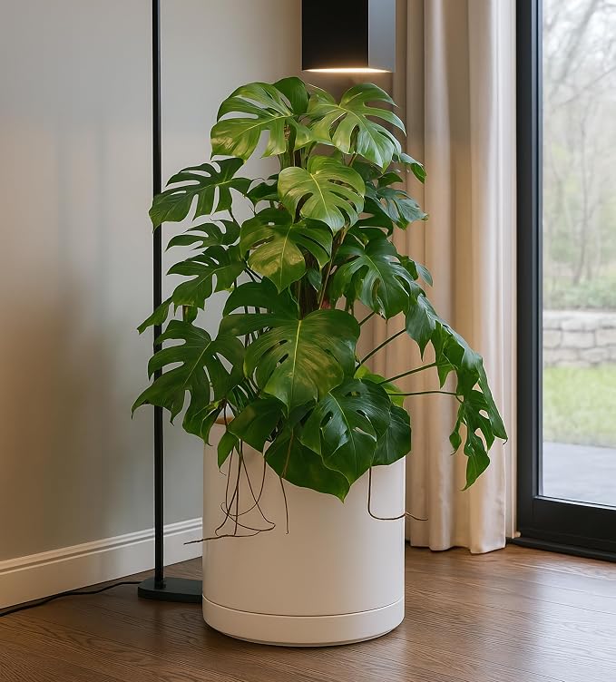D'vine Dev 14 Inch Ceramic Planter Pot, Oatmeal, 94-O-G-8 | Modern Cylinder Design, Drainage Hole & Saucer Included, Stable Structure, Elegant Home Accent