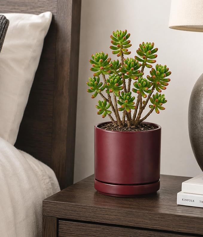 D'vine Dev 6.5 Inch Ceramic Planter Pot, Cordovan, 94-O-C-4 | Modern Cylinder Design, Drainage Hole & Saucer Included, Stable Structure, Elegant Home Accent