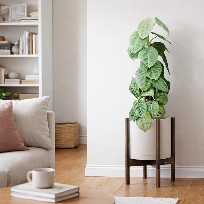 D'vine Dev Plastic Pot with Walnut Wood Stand, Oatmeal, 10 in, 55-C-L-4 | Mid-Century Inspired Design, Elevated Plant Display, Clean Lines, Sturdy Support, Modern Space-Saving Style