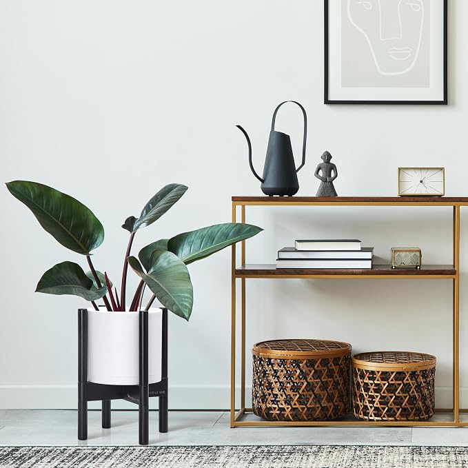 D'vine Dev Plastic Pot with Ebony Wood Stand, White, 8 in, 55-C-K-1 | Mid-Century Inspired Design, Elevated Plant Display, Clean Lines, Sturdy Support, Modern Space-Saving Style
