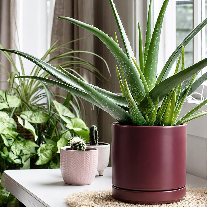 D'vine Dev 8 Inch Ceramic Planter Pot, Cordovan, 94-O-D-4 | Modern Cylinder Design, Drainage Hole & Saucer Included, Stable Structure, Elegant Home Accent