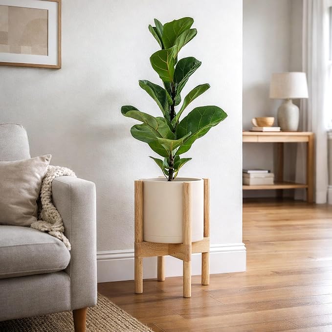D'vine Dev Plastic Pot with Natural Wood Stand, Oatmeal, 8 in, 55-C-J-4 | Mid-Century Inspired Design, Elevated Plant Display, Clean Lines, Sturdy Support, Modern Space-Saving Style