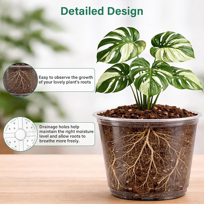 Bluepro Clear Nursery Pots with Drainage, 3.5/4/5/6/8 Inch, 20-Pack | Clear PET, 4 Each of Five Sizes, Root and Moisture Visibility, Flexible, Reusable, Seed Starting Through Repotting