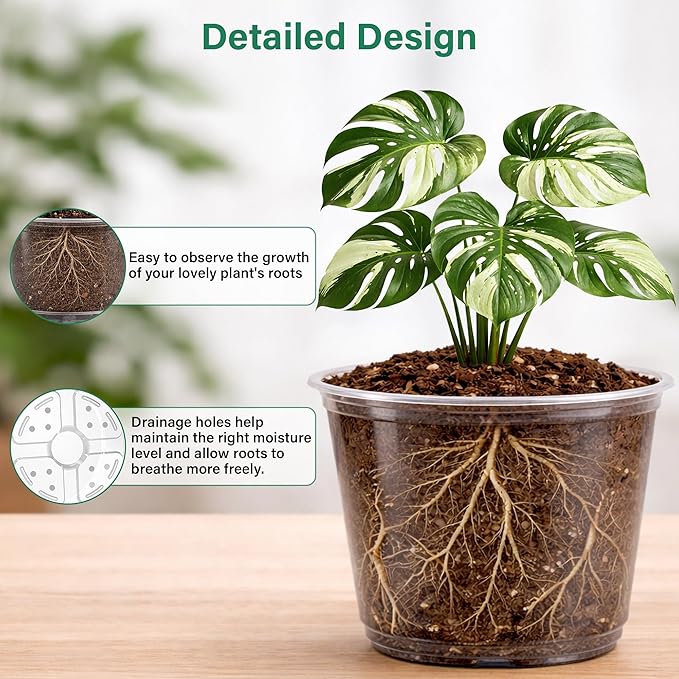 Bluepro Clear Nursery Pots with Drainage Holes, 5/6/8/10 Inch, 16-Pack | Clear PET, 4 Each of Four Large Sizes, Root and Moisture Visibility, Flexible, Reusable, Repotting and Plant Care