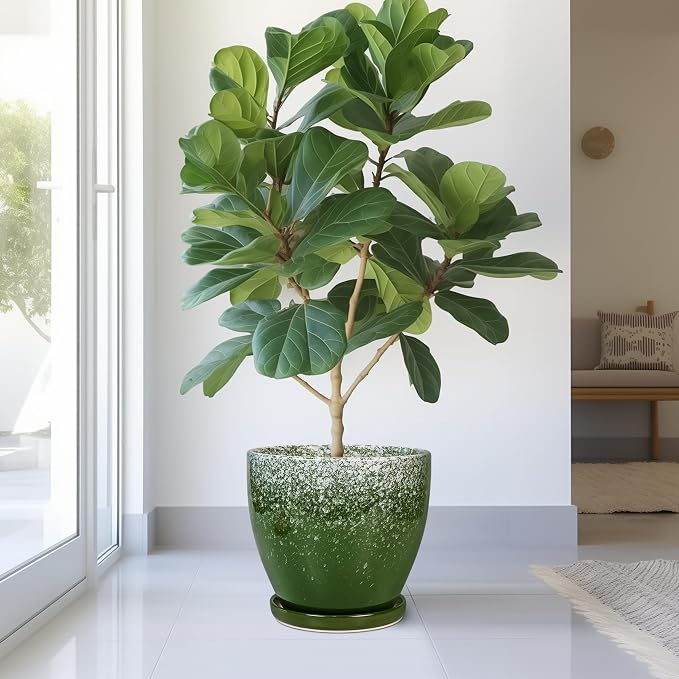 10 Inch Plant Pot - Ceramic Planters for Indoor Plants Outdoor, Large Planter with Drainage Hole and Saucer, Decorative Round Flower Pots, Garden House Decor, Gifts for Plant Lovers, Green