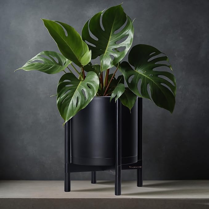 D'vine Dev Plastic Pot with Ebony Wood Stand, Black, 12 in, 55-C-Q-2 | Mid-Century Inspired Design, Elevated Plant Display, Clean Lines, Sturdy Support, Modern Space-Saving Style