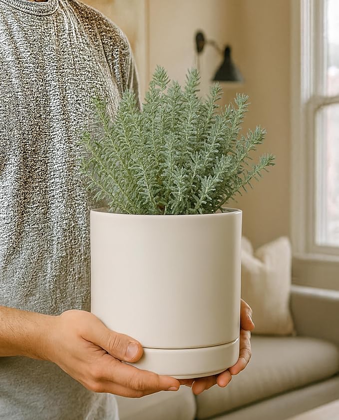 D'vine Dev 6.5 Inch Ceramic Planter Pot, Oatmeal, 94-O-C-8 | Modern Cylinder Design, Drainage Hole & Saucer Included, Stable Structure, Elegant Home Accent