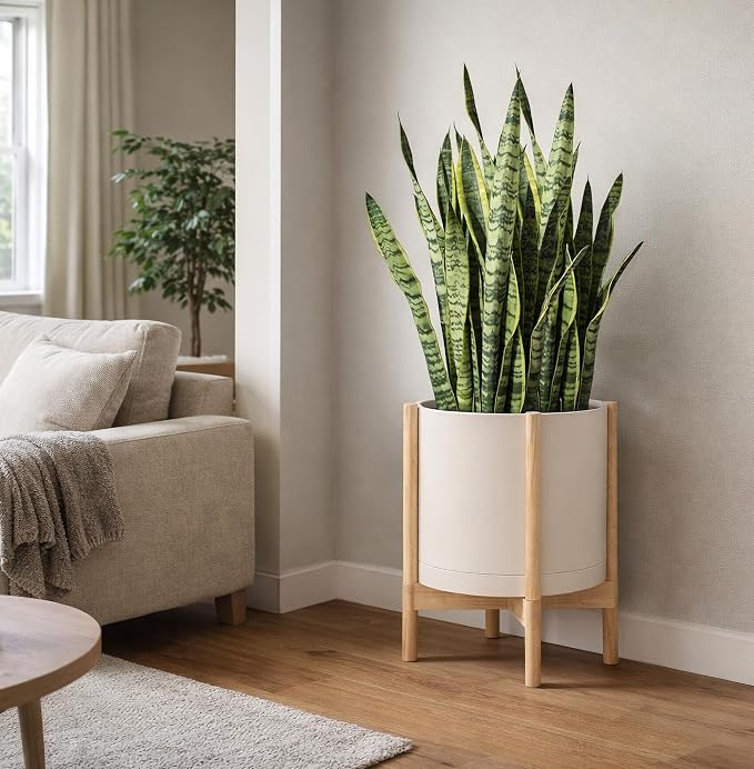 D'vine Dev Plastic Pot with Natural Wood Stand, Oatmeal, 16 in, 55-C-Y-4 | Mid-Century Inspired Design, Elevated Plant Display, Clean Lines, Sturdy Support, Modern Space-Saving Style