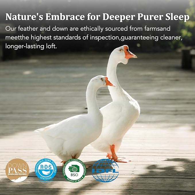 Down Pillows Breathable Cotton Shell Cover,Luxury Hotel Collection Bed Pillows for Sleeping,Fluffy Soft Medium Firm Down Fiber Pillows