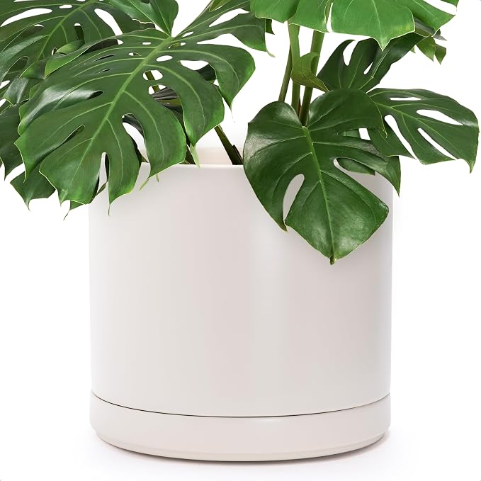 D'vine Dev 14 Inch Ceramic Planter Pot, Oatmeal, 94-O-G-8 | Modern Cylinder Design, Drainage Hole & Saucer Included, Stable Structure, Elegant Home Accent