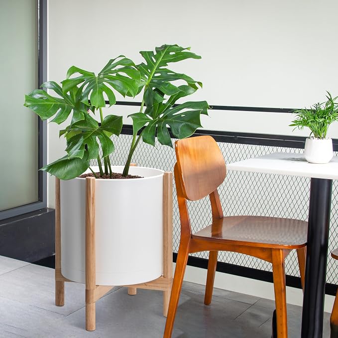 D'vine Dev Plastic Pot with Natural Wood Stand, White, 16 in, 55-C-Y-1 | Mid-Century Inspired Design, Elevated Plant Display, Clean Lines, Sturdy Support, Modern Space-Saving Style