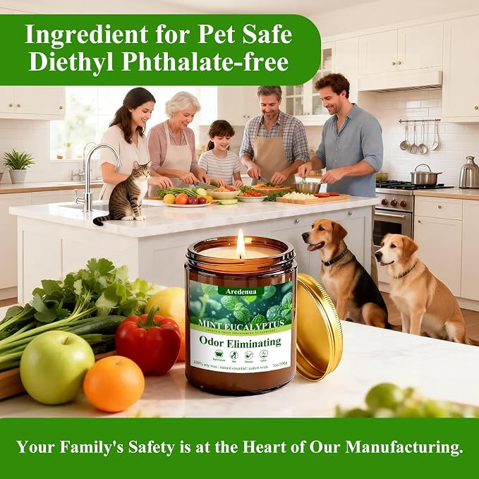 Mint Eucalyptus Odor Eliminating Candles | Eliminates 95% of Pet, Smoke, Food, and Other Smells Quickly – 7 oz Soy Candle for Home Scented - Air Freshing Scented Candles Gifts for Women Men