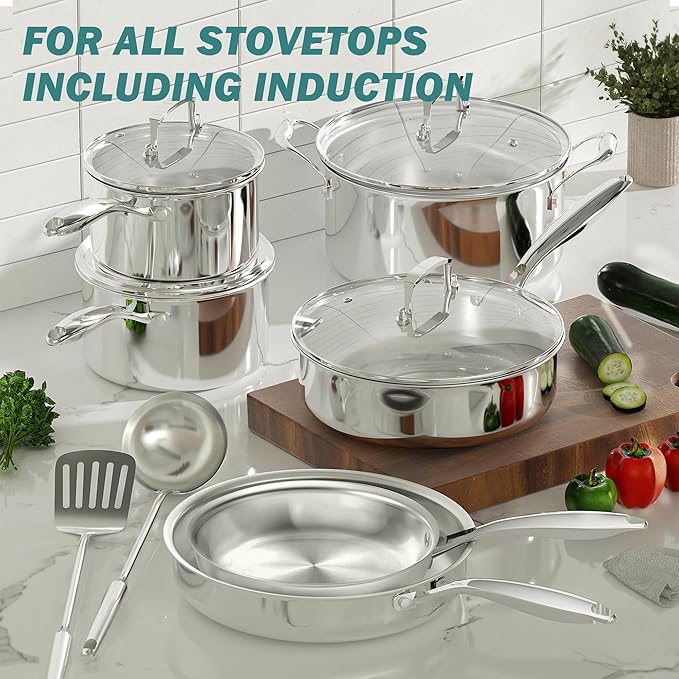 12 Piece Stainless Steel Pots and Pans Set, Tri-Ply Clad Cookware Set, Professional Induction Cookware Sets with Glass Lids, Oven & Dishwasher Safe, Non Toxic Silver Kitchen Sets (12, Silver)