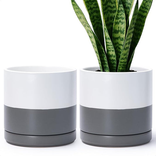 D'vine Dev 2-Pack Ceramic Pots with Saucers, White/Grey, 8.2 in, 94-V-D-6 | Modern Cylinder Design, Glazed Ceramic, Drainage Hole & Saucer Included, High Temperature Fired, Elegant Home Accent