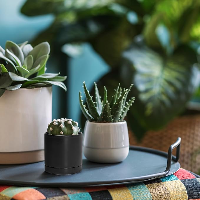 D'vine Dev Set of 2 Plants Pots, 3.5 Inch Ceramic Planter Pot for Plants with Drainage Hole and Saucer, Black, 94-V-A-2
