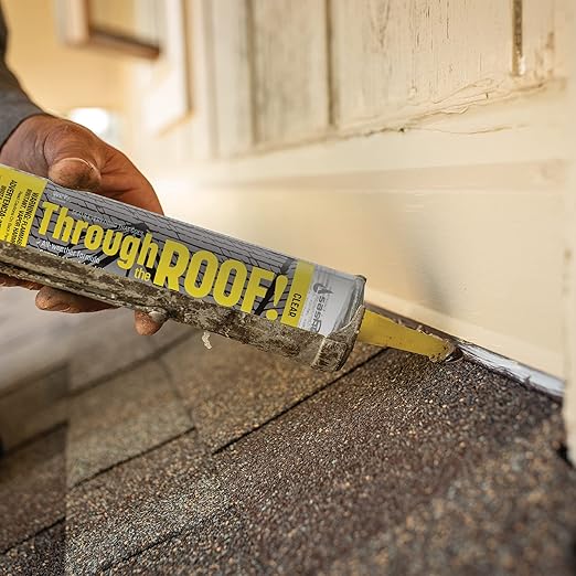 Sashco Quart Clear Roof Sealant,14003