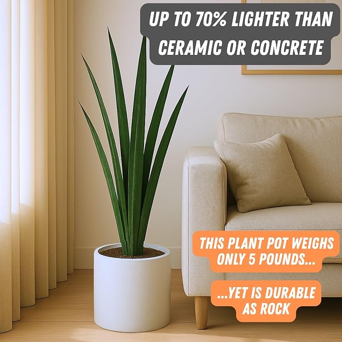 Fox & Fern Large Indoor Planter, Modern Large Plant Pot for Indoor or Outdoor, UV and Frost Resistant - 10 Inch, Matte White Flower Pot with Drainage Plug, Lightweight