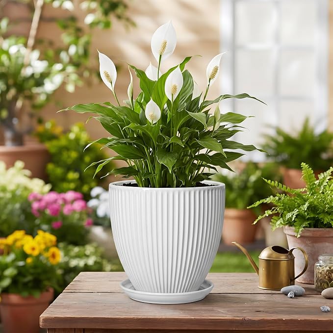 Ceramic Pots for Plants, 6 Inch Plant Pot with Drainage Hole and Saucer, Round Ceramic Flower Pots for Indoor Plants, Modern Small Succulent Planter, Room Home Decor, Plant Lover Gifts, White