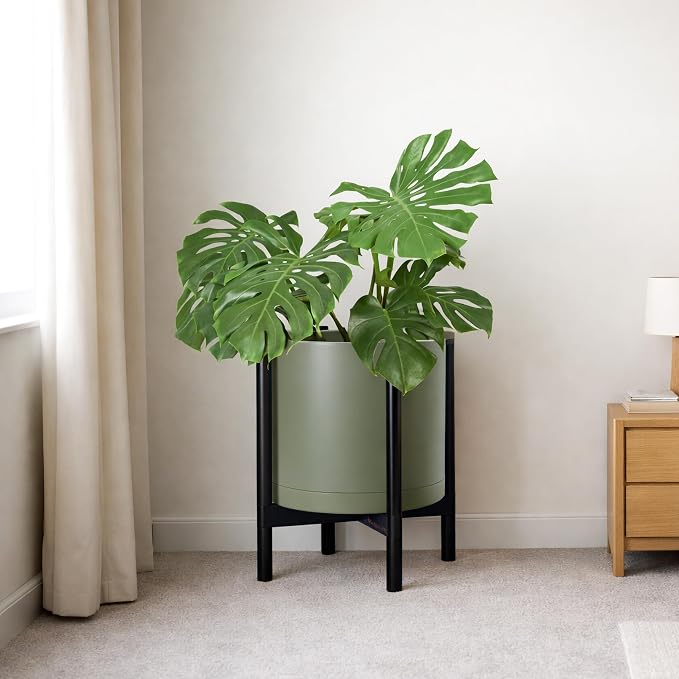 D'vine Dev Plastic Pot with Ebony Wood Stand, Olive, 16 in, 55-C-Z-3 | Mid-Century Inspired Design, Elevated Plant Display, Clean Lines, Sturdy Support, Modern Space-Saving Style