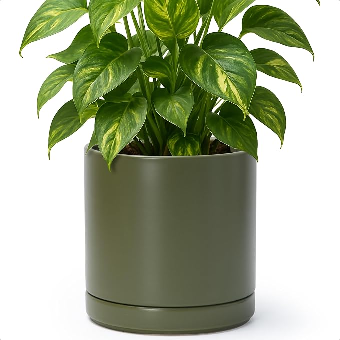 D'vine Dev 8.2 Inch Ceramic Planter Pot, Olive, 94-O-D-J | Modern Cylinder Design, Drainage Hole & Saucer Included, Stable Structure, Elegant Home Accent