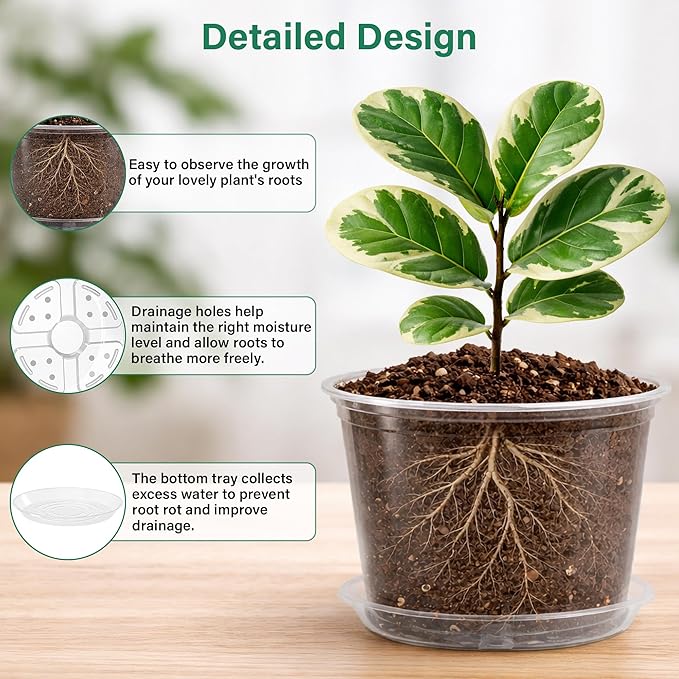 Bluepro Clear Nursery Pots with Saucers, 8 Inch, 8-Pack | Clear PET, Drainage Holes, Root and Moisture Visibility, Flexible, Reusable, Indoor/Outdoor Use, Propagation and Repotting