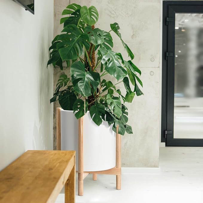 D'vine Dev Plastic Pot with Natural Wood Stand, White, 16 in, 55-C-Y-1 | Mid-Century Inspired Design, Elevated Plant Display, Clean Lines, Sturdy Support, Modern Space-Saving Style